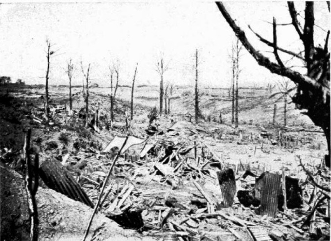Alfred Sidney Mercer, Scherpenberg Hill, the scene of the Battle of Scherpenberg in April 1918.